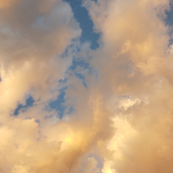 Meet your Posher, Josephine - Picture 1 of 1